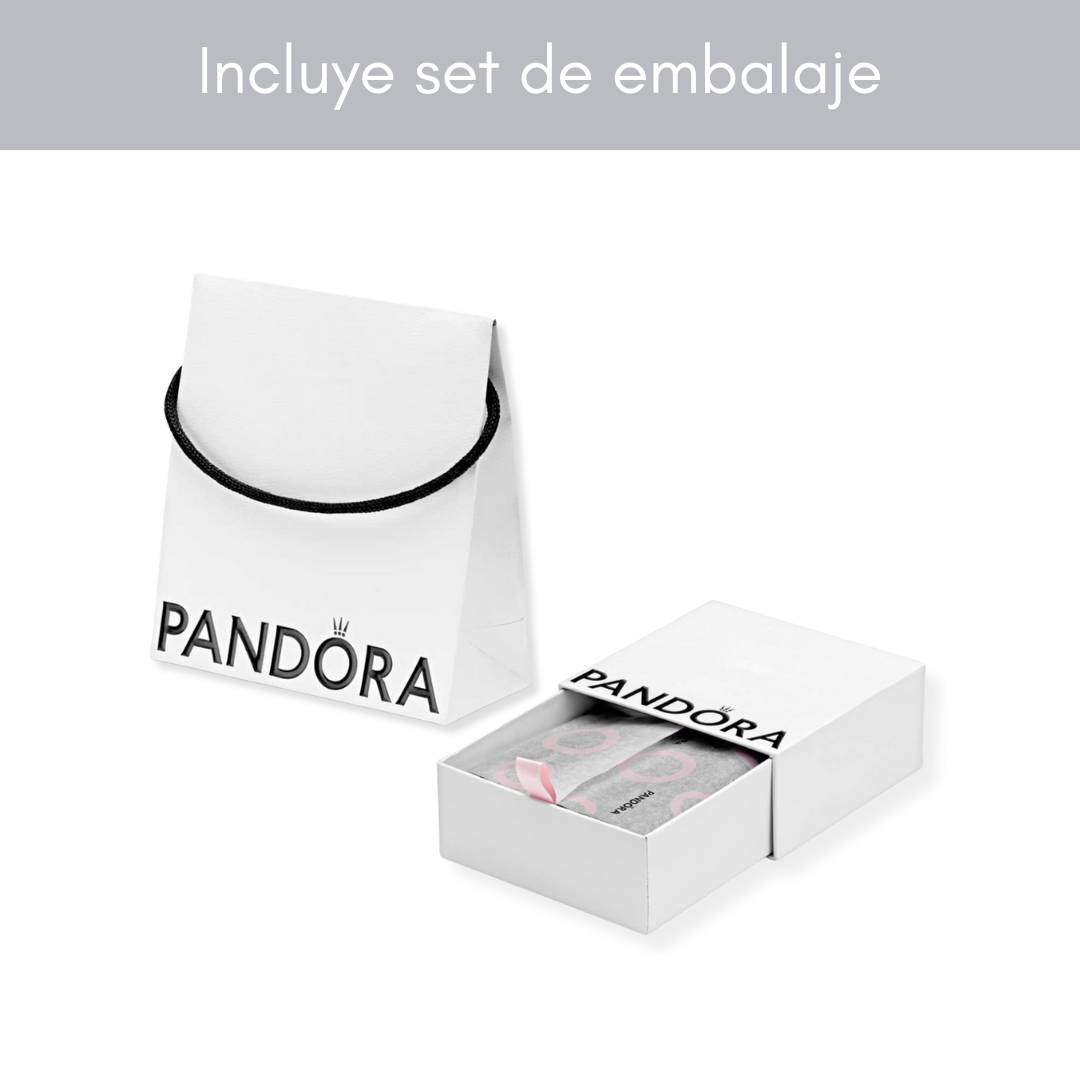 Set de collar y aretes círculo